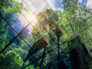 Sustainable Resources – Green Building